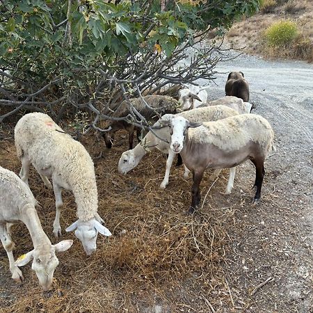 Cortijo La Vista Βίλα Orgiva Εξωτερικό φωτογραφία