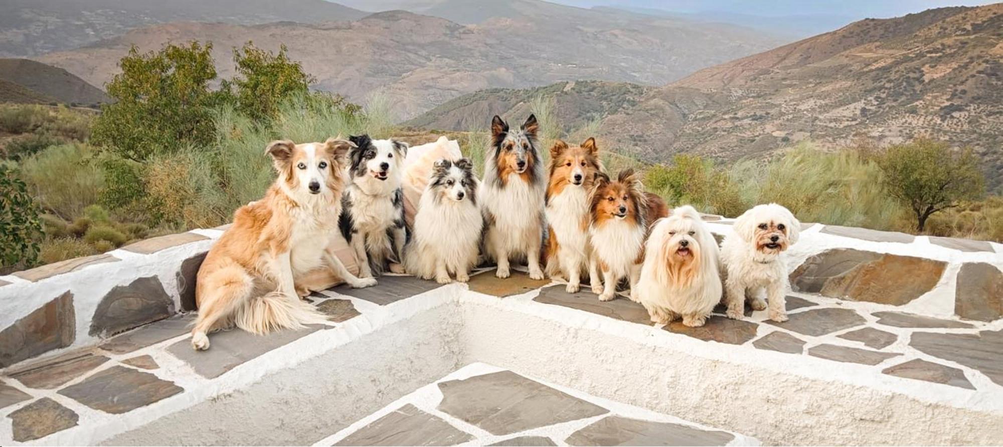 Cortijo La Vista Βίλα Orgiva Εξωτερικό φωτογραφία