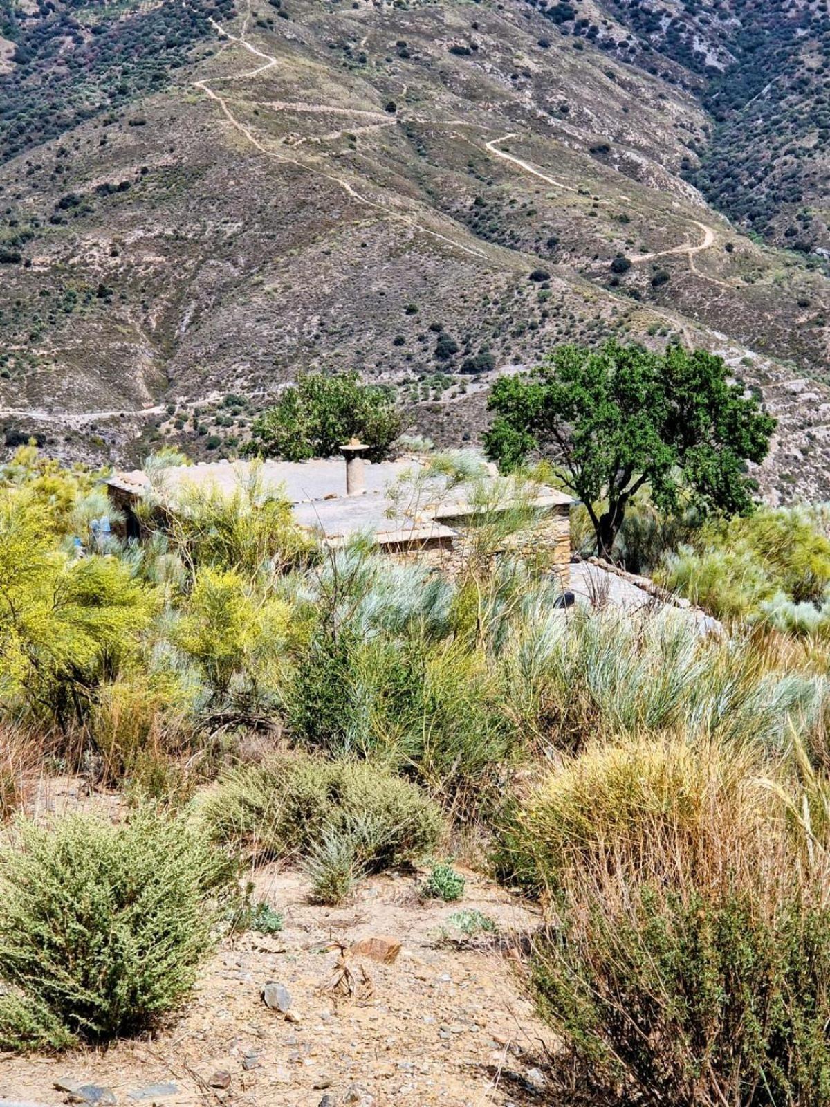 Cortijo La Vista Βίλα Orgiva Εξωτερικό φωτογραφία