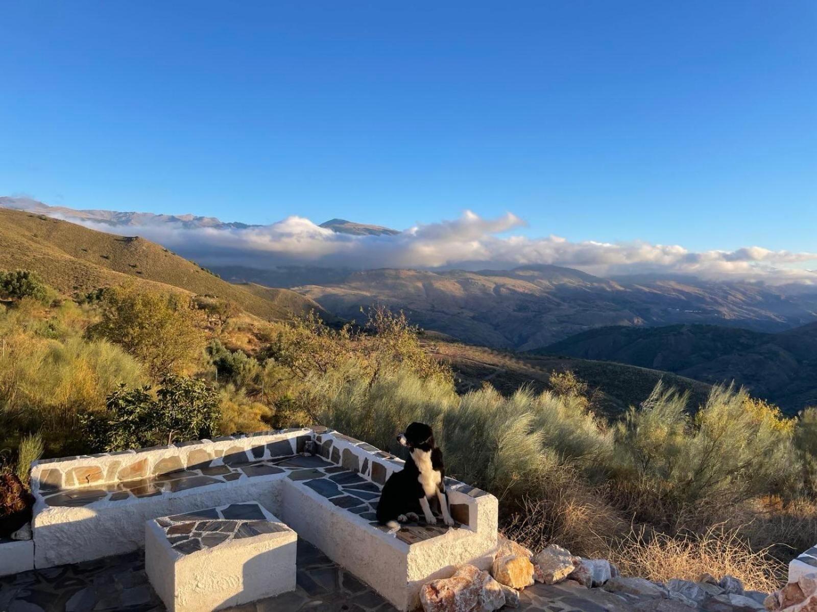 Cortijo La Vista Βίλα Orgiva Εξωτερικό φωτογραφία